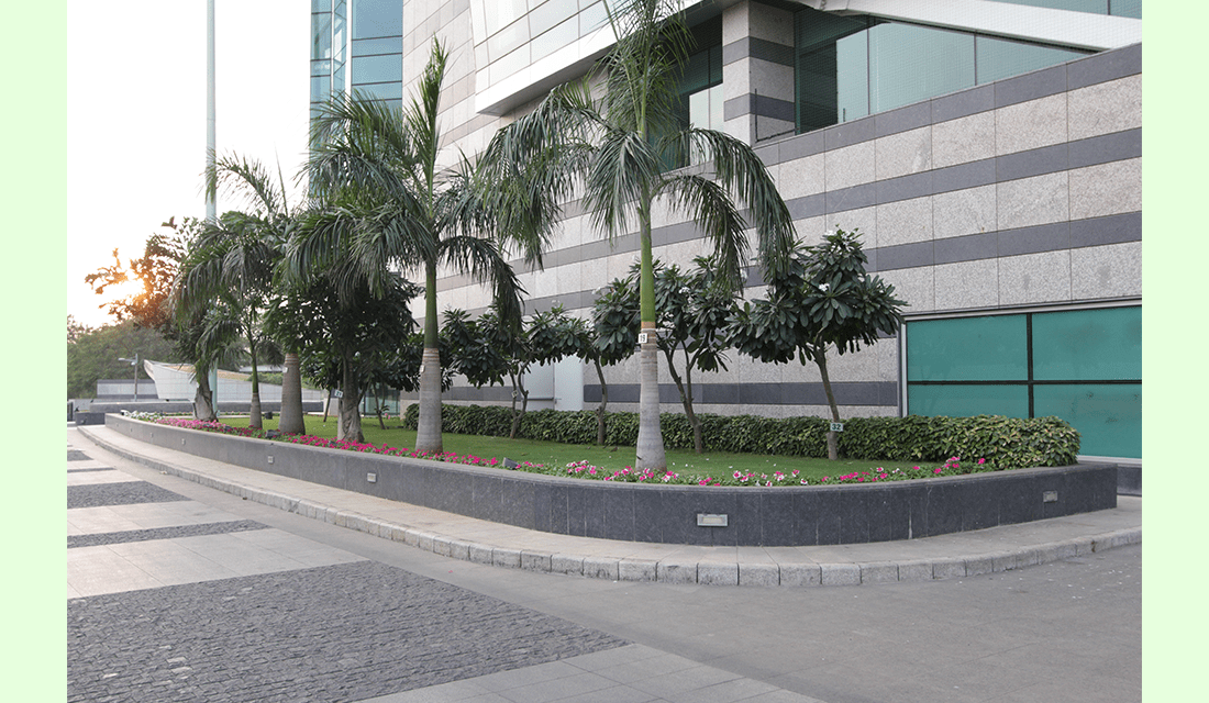 jsw-1