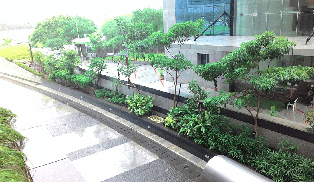 jsw-3
